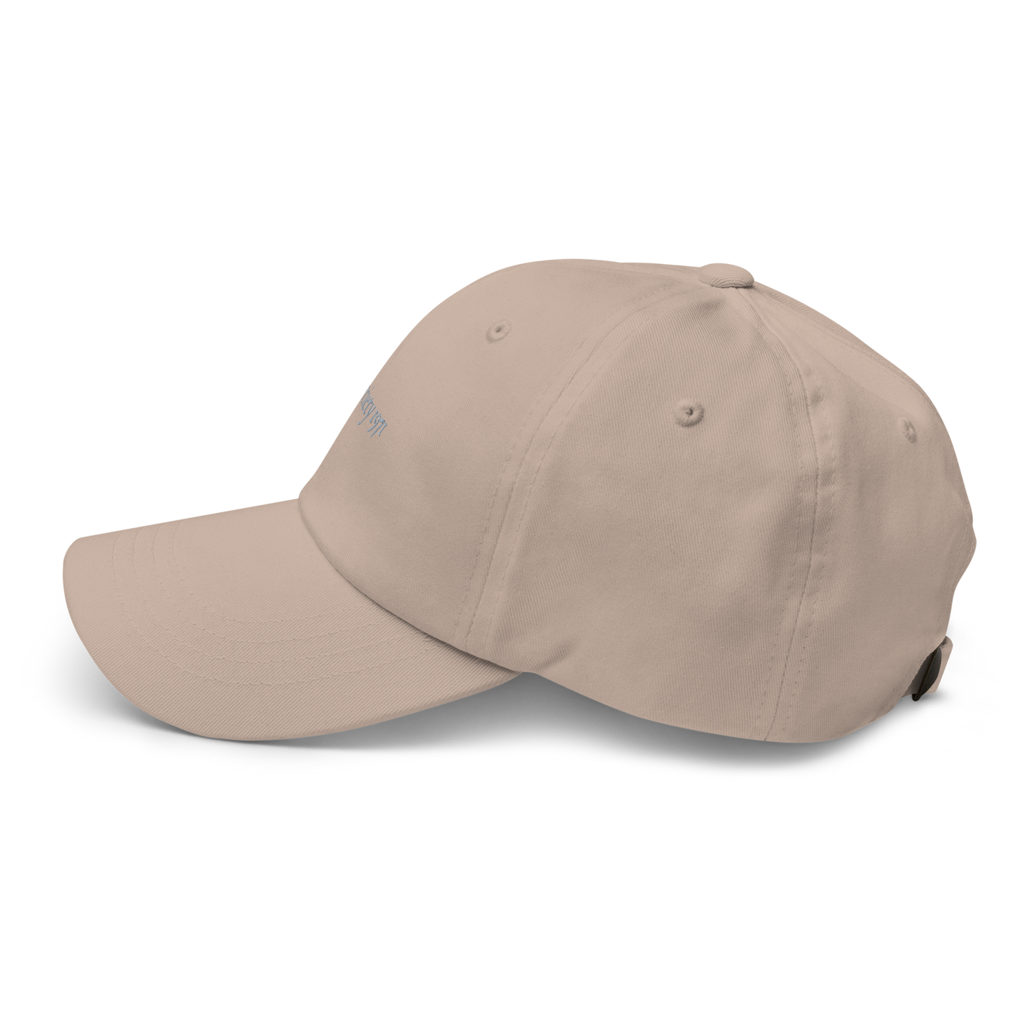 The Classic Travel Cap